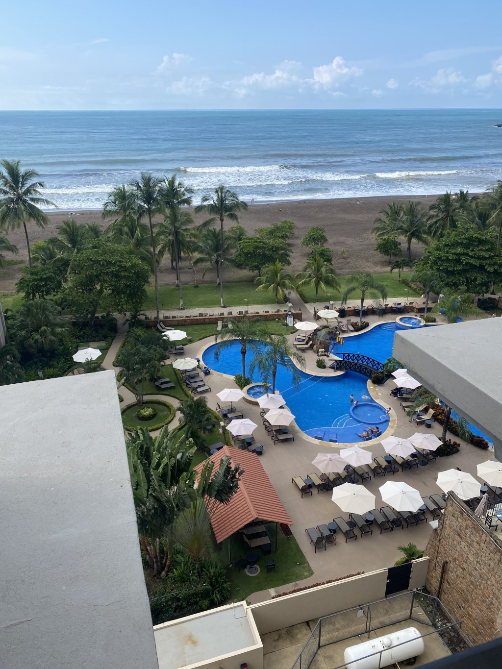 DAY 8 -19&nbsp;novembre