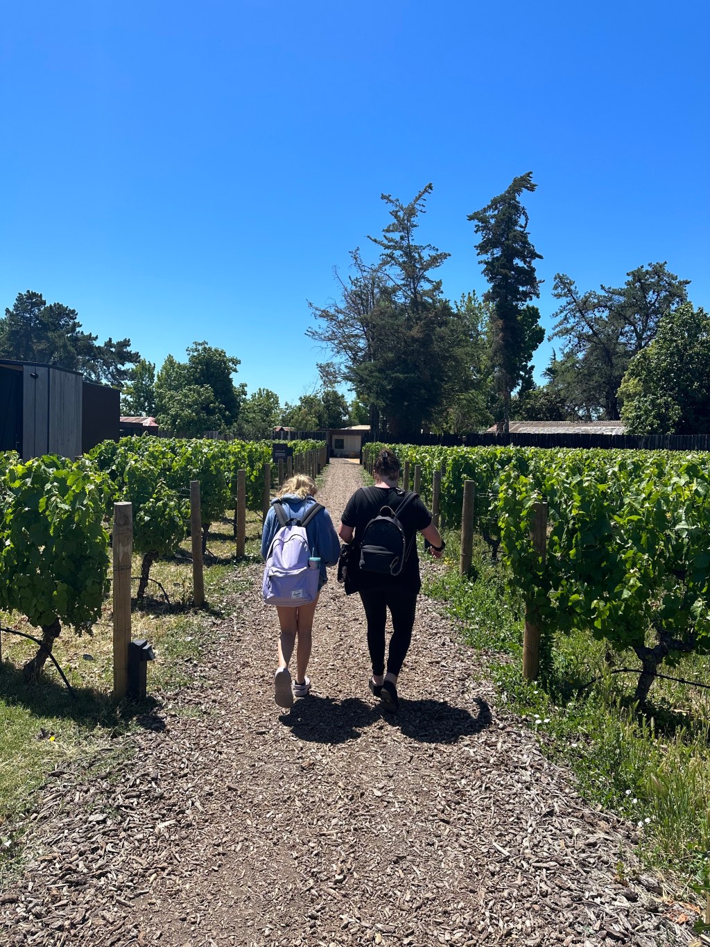 DAY 36 – 17&nbsp;décembre